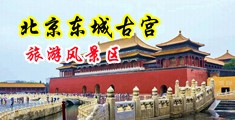 色，男人的鸡鸡捅进女人的屁股游戏软件大全中国北京-东城古宫旅游风景区